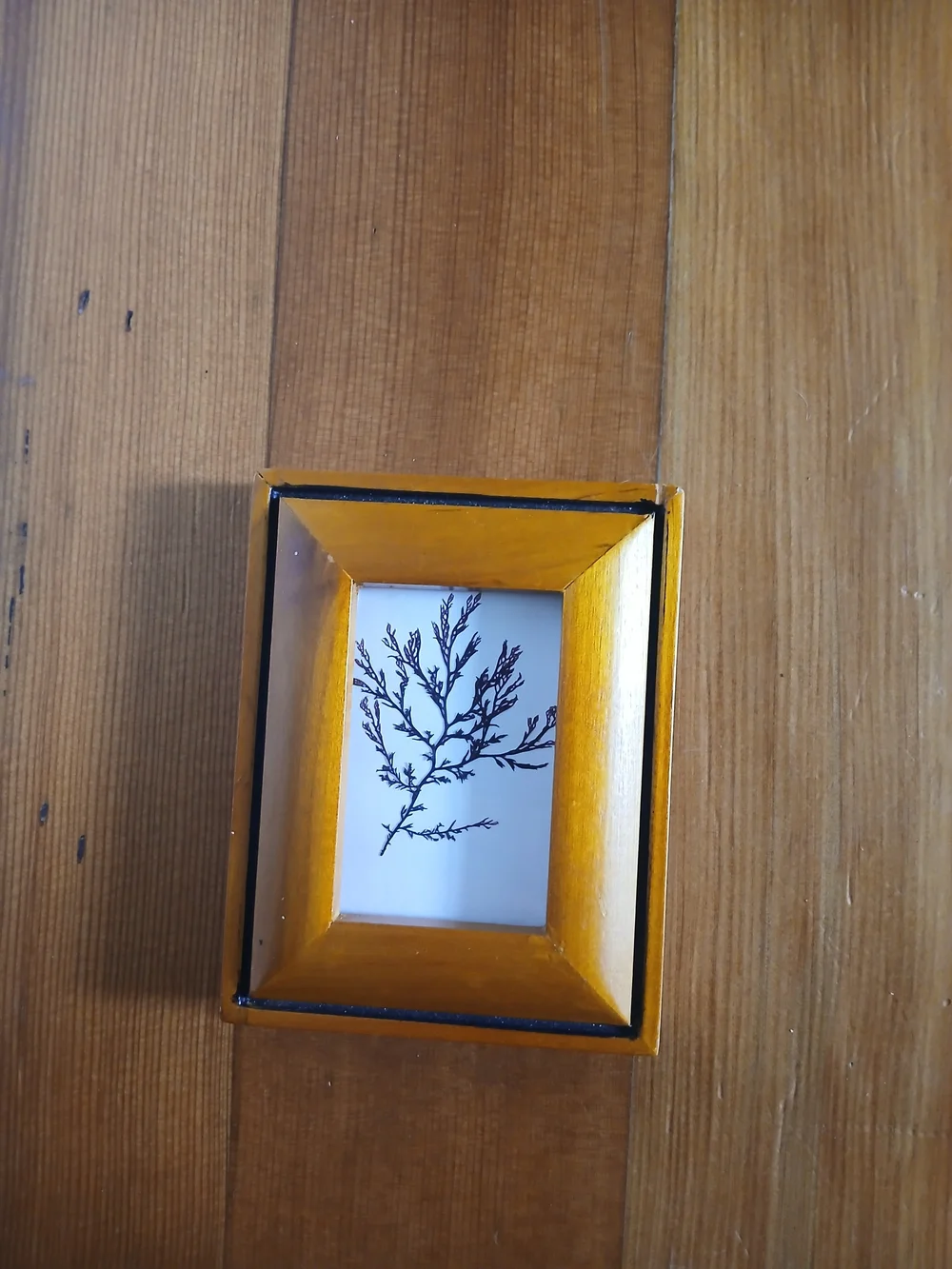 Wooden Orange Picture Frame with Botanical Print